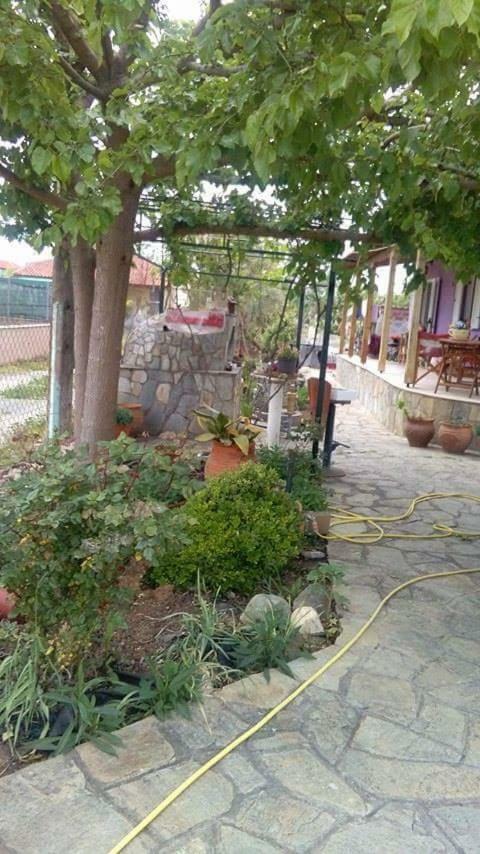 Villa Julia Nea Plagia Exterior foto